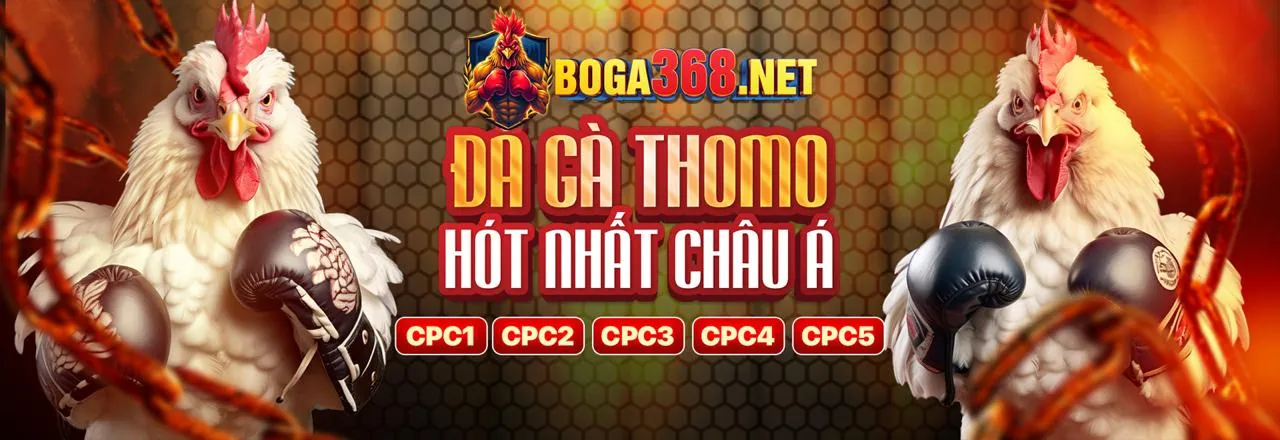 Đá Gà Trực Tiếp 7clubs chính thức